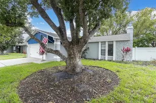 8038 Buttonball Ln, Port Richey, FL 34668 - Photo 29