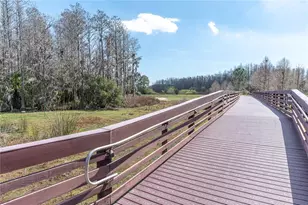 10121 Porch St, New Port Richey, FL 34655 - Photo 53