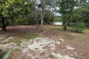 17839 Monteverde Dr, Spring Hill, FL 34610 - Photo 21