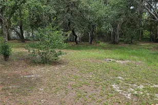 17839 Monteverde Dr, Spring Hill, FL 34610 - Photo 23