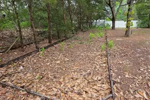 17839 Monteverde Dr, Spring Hill, FL 34610 - Photo 25