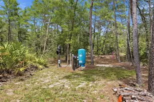 18296 Maberly Rd, Weeki Wachee, FL 34614 - Photo 45