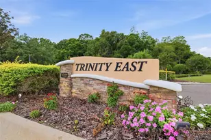 1115 Ketzal Dr, Trinity, FL 34655 - Photo 33