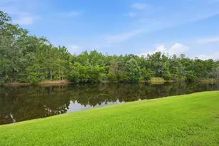 1115 Ketzal Dr, Trinity, FL 34655 - Photo 29