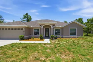 12155 Peregrine Falcon Ave, Weeki Wachee, FL 34614 - Photo 1