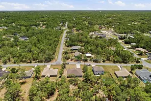 12155 Peregrine Falcon Ave, Weeki Wachee, FL 34614 - Photo 25
