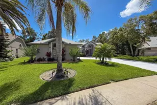 13627 Glaze Brook Dr, Hudson, FL 34667 - Photo 67
