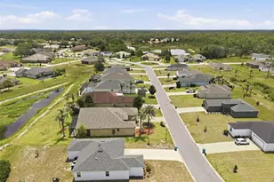 8987 Mississippi Run, Weeki Wachee, FL 34613 - Photo 53