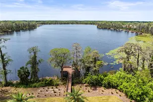 11828 Castine St, New Port Richey, FL 34654 - Photo 41
