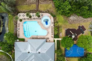 11828 Castine St, New Port Richey, FL 34654 - Photo 37