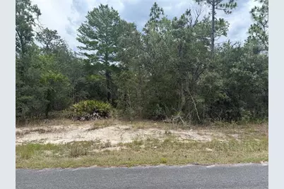 6215 S Premiere Avenue, Homosassa, FL 34446 - Photo 5
