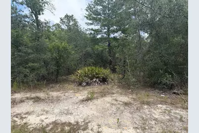 6215 S Premiere Avenue, Homosassa, FL 34446 - Photo 7