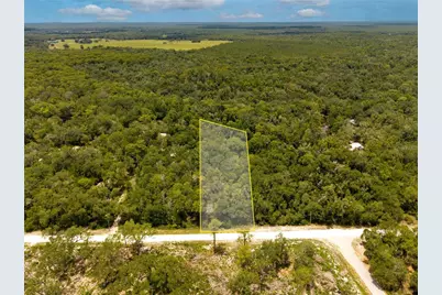 7353 Riverview Drive, Ridge Manor Estates, FL 33597 - Photo 1