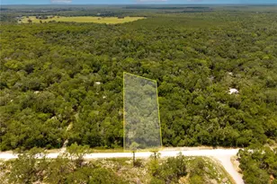 7353 Riverview Dr, Ridge Manor Estates, FL 33597 - Photo 1