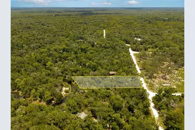 7337 Riverview Drive, Ridge Manor Estates, FL 33597 - Photo 3