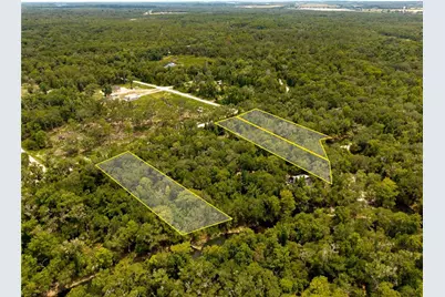 7333 Riverview Drive, Ridge Manor Estates, FL 33597 - Photo 7