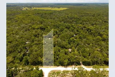 7333 Riverview Drive, Ridge Manor Estates, FL 33597 - Photo 1