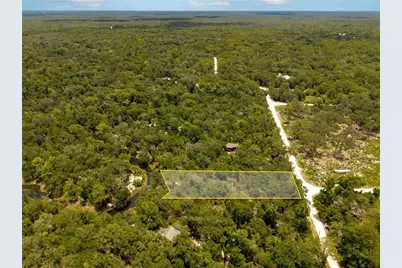 7333 Riverview Drive, Ridge Manor Estates, FL 33597 - Photo 3