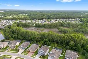 19520 Hayden Lake Ct, Land O Lakes, FL 34638 - Photo 97