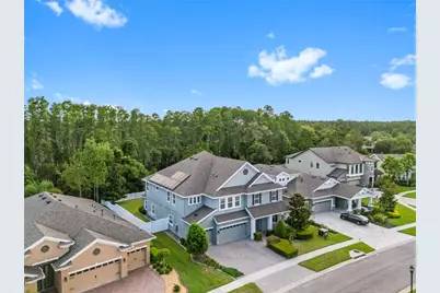 19520 Hayden Lake Court, Land O Lakes, FL 34638 - Photo 73