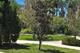 5904 Elm St, New Port Richey, FL 34652 - Photo 33