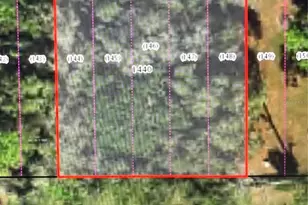 3419 E Rogers St, Inverness, FL 34453 - Photo 1