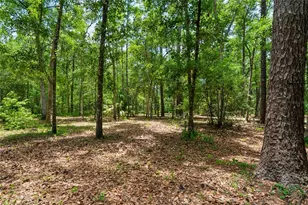 1022 S Mildred Ave, Brooksville, FL 34601 - Photo 53