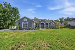 12041 Sapphire Dr, Spring Hill, FL 34609 - Photo 3