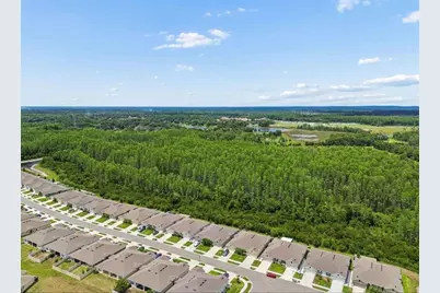18307 Turning Leaf Circle, Land O Lakes, FL 34638 - Photo 27