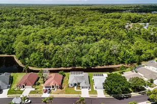 12202 Roseland Dr, New Port Richey, FL 34654 - Photo 43
