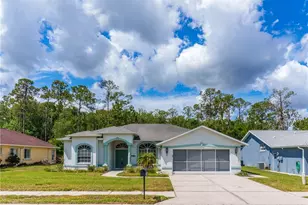 12202 Roseland Dr, New Port Richey, FL 34654 - Photo 1