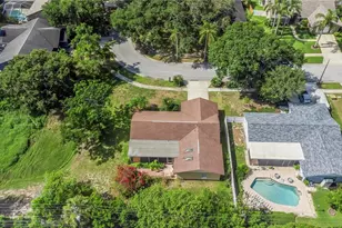 2437 Hawk Ave, Palm Harbor, FL 34683 - Photo 31