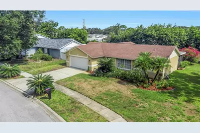 2437 Hawk Avenue, Palm Harbor, FL 34683 - Photo 35