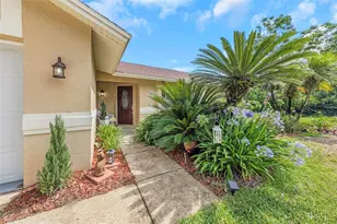 2437 Hawk Ave, Palm Harbor, FL 34683 - Photo 1