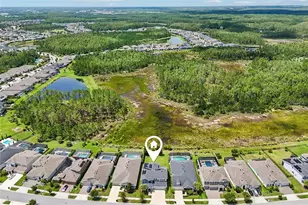 3275 Tour Trce, Land O Lakes, FL 34638 - Photo 73