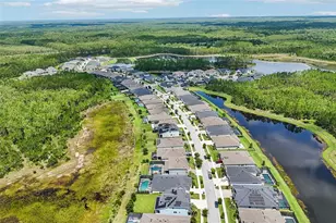 3275 Tour Trce, Land O Lakes, FL 34638 - Photo 75