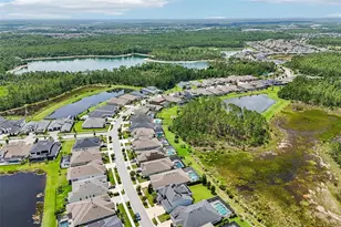 3275 Tour Trce, Land O Lakes, FL 34638 - Photo 71