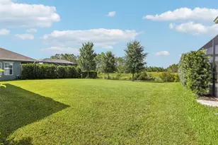 3275 Tour Trce, Land O Lakes, FL 34638 - Photo 5