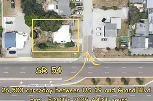 4007 Flamingo Dr, New Port Richey, FL 34652 - Photo 9