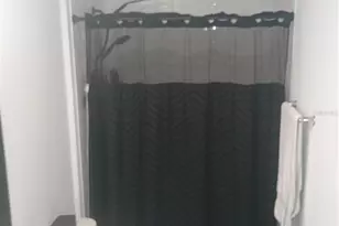 11440 Crescent Deer Dr, Land O Lakes, FL 34638 - Photo 11