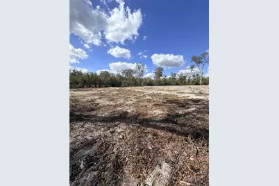 163 NE 159th Avenue, Old Town, FL 32680 - Photo 5