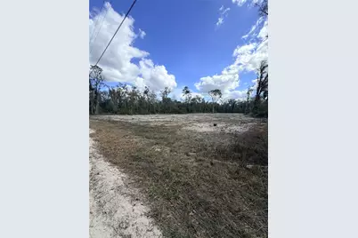 163 NE 159th Avenue, Old Town, FL 32680 - Photo 1