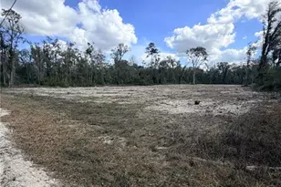163 NE 159th Ave, Old Town, FL 32680 - Photo 1