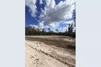 163 NE 159th Avenue, Old Town, FL 32680 - Photo 9