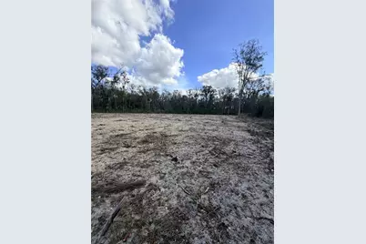 163 NE 159th Avenue, Old Town, FL 32680 - Photo 3