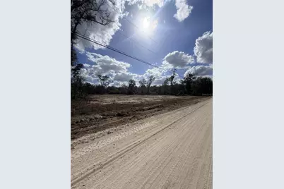 163 NE 159th Avenue, Old Town, FL 32680 - Photo 11