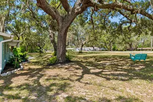 9950 Hilltop Dr, New Port Richey, FL 34654 - Photo 27