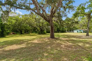 9950 Hilltop Dr, New Port Richey, FL 34654 - Photo 25