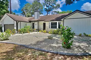 1382 Sutton Pl Dr, Palm Harbor, FL 34683 - Photo 1