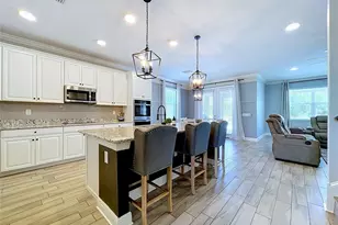12093 Nouveau Ave, Spring Hill, FL 34610 - Photo 17
